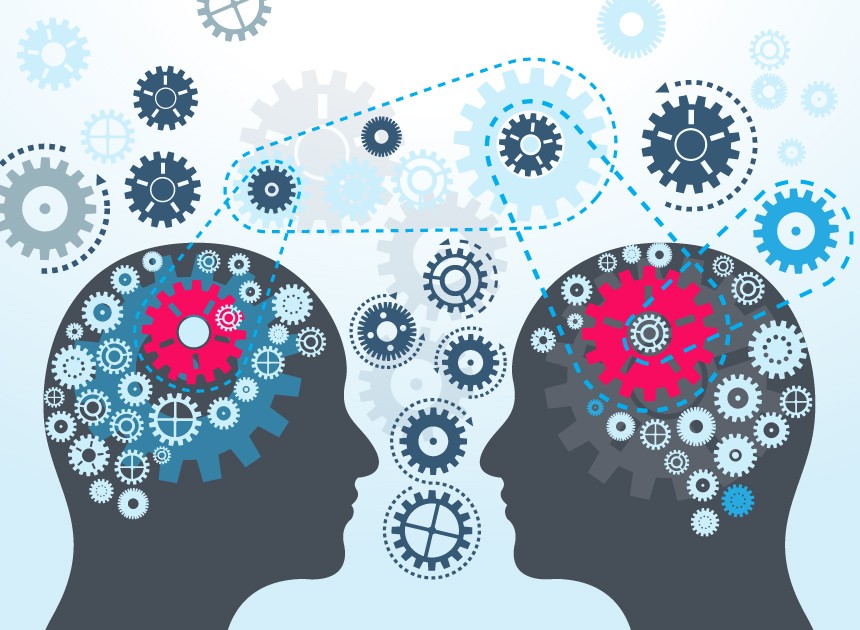 Unlocking the Secrets of Knowledge Transfer